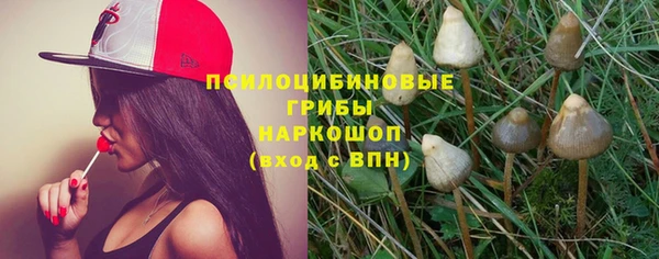дмт Ладушкин