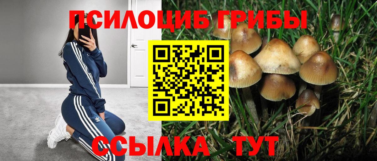 Галлюциногенные грибы GOLDEN TEACHER  Галлюциногенные грибы Psilocybe  Курчатов  Вход с VPN 