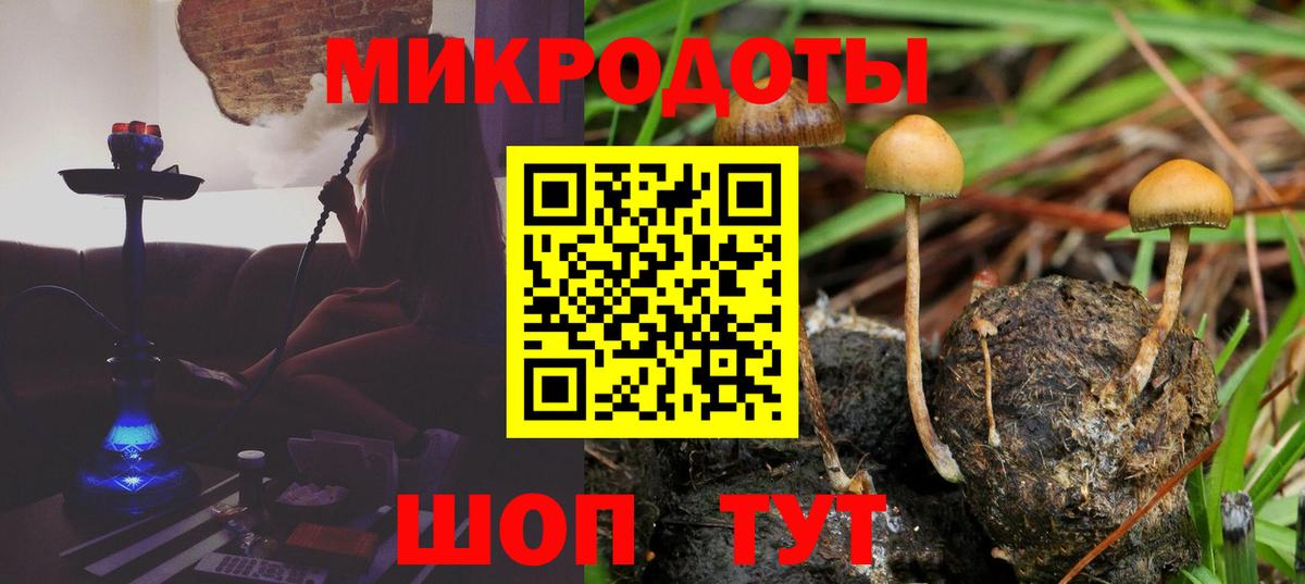 Конопля  Гашиш  Курчатов  ГАШ  Меф   Вход с VPN 